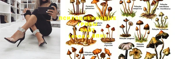круглые Покровск