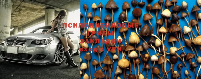 Галлюциногенные грибы Magic Shrooms  Ардон 